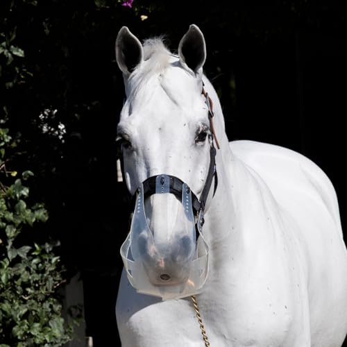 ThinLine Flexible Filly Grazing Muzzle | Lightweight Safe Comfortable Ventilated Equine Slow Feed Halter Mounting Clear Horse Mask, Oversize/Draft, 3.5+cm Hole