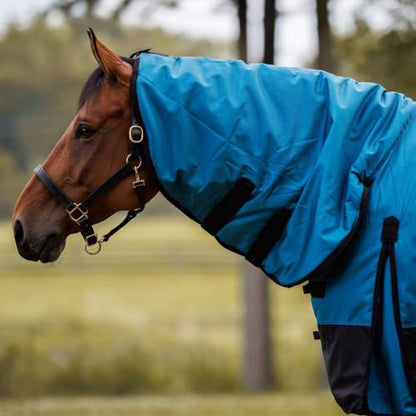 Country Pride Heavyweight Turnout Blanket for Horses, 1680D Waterproof Durable Outer Shell, 300g Insulation, Attached Neck Cover, Adjustable Front and Leg Straps, Shoulder Gussets, Tail Cover (72) - size: 72