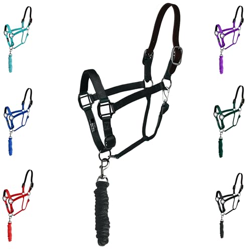 Majestic Ally Leather Halter with Matching Lead Rope for Horses – Leather Breakaway Crown - Adjustable Chin Strap – Rolled Throat Latch – Padded Noseband – Full (Black-Black Nickel, Full) - color: Black, size: Full