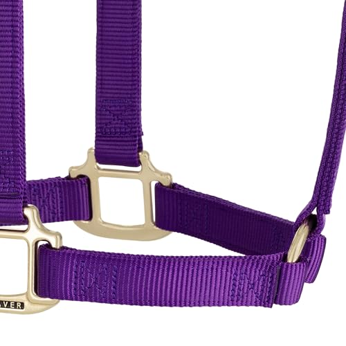 Weaver Leather Original Non-Adjustable Nylon Horse Halter