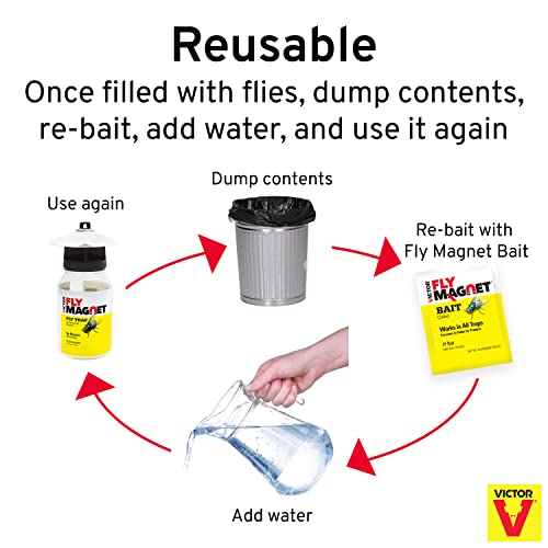 Terro T380 Outdoor Reusable Fly Magnet Fly Trap - Poison Free Trap with Bait (Pack of 2)