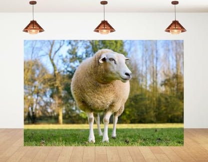 10x7ft Fabric Fluffy Wool Sheep Backdrop White Ewe Green Pasture Soft Daylight Blurred Wood Background Photography Background Tapestry Farm Animal Decorations Banner Photo Booth Props - size: 10x7ft