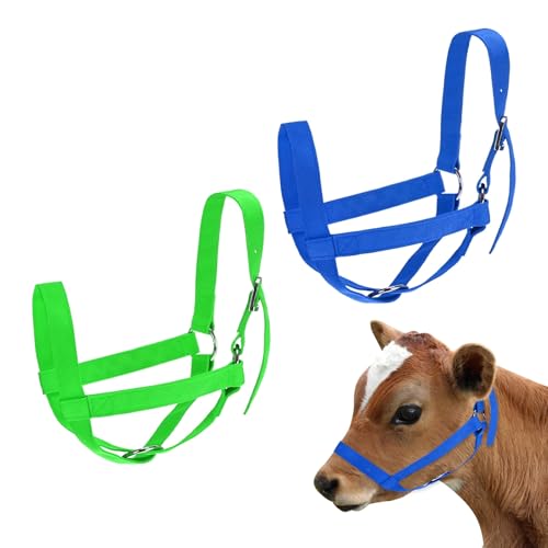 M METERXITY 2-Pack Adjustable Cattle Cow Calf Halter, 13.78"-17.7" Nylon Livestock Cow Halter for Miniature Horse/Donkey/Goat/Cattle [Green/Blue]