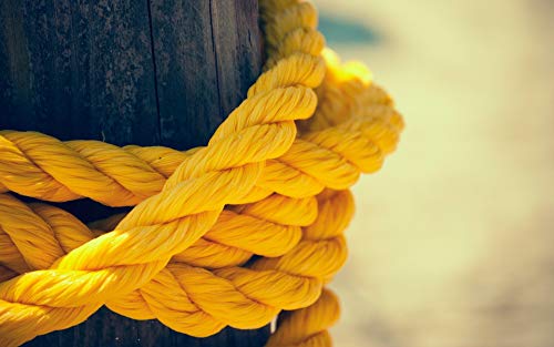 Yellow Poly Rope 5/16" x 100 Foot Polypropylene, Marine, Industrial, Resistant to Moisture Chemical Oil Floats Stretch Resistant Deer Fence Home Improvement DIY Yellow Rope, Great White Brands, USA