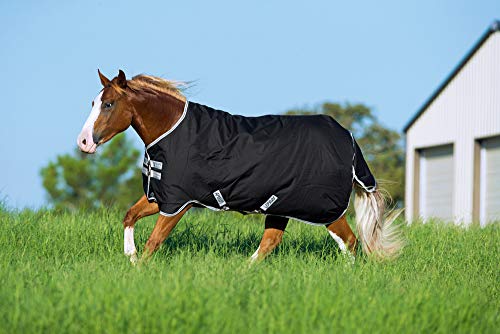 Horseware Ireland Amigo Stock Horse Turnout Medium 200g Black/Silver 74 - size: 74
