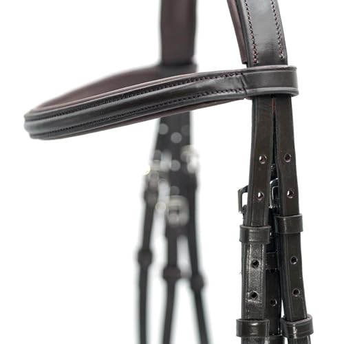Jeffers Uniquely English Leather Horse Bridle with Reins, Padded Crown, Adjustable Noseband, English Bridle Tack for Hunter, Jumping, Dressage, Riding - size: Oversize