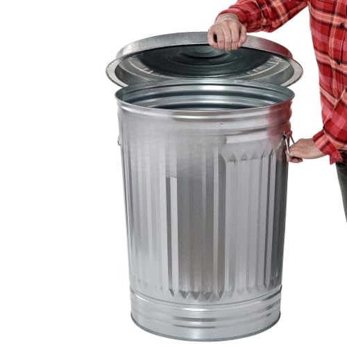 31 Gallon Galvanized Steel Trash Can, Tight Lid, Rust Resistant, Rodent Proof, Metal Garbage Bin, Outdoor Yard Storage, Dry Container