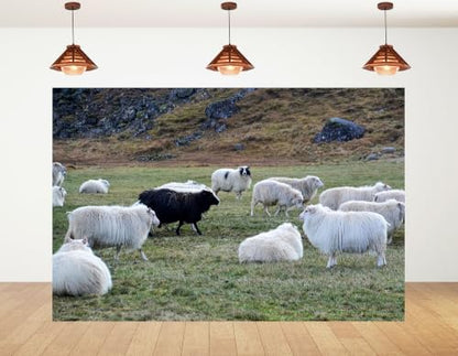 8x8ft Fabric Grass Highland Sheep Backdrop Fluffy White Wool Sheep Single Black Sheep Rocky Hill Pasture Countryside Photography Background Tapestry Party Rural Decorations Photo Props - size: 8x8ft