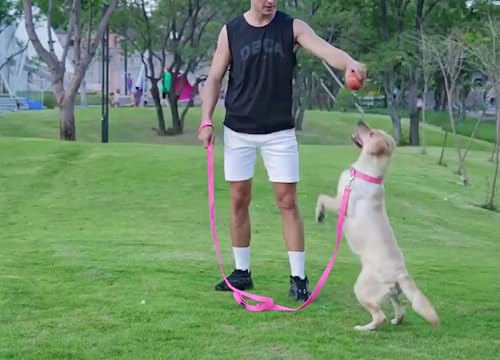 Long Dog Leashes for Medium,Large & Small Dogs Training 15FT/20FT/30FT/50FT/100FT - color: Pink, size: 1 Inch x 20 Feet