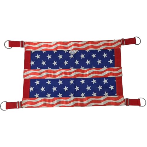Derby Originals Heavy Duty Patriotic Design Stall Guard for Horse Stalls – Durable Double-Hanger Stall Barrier