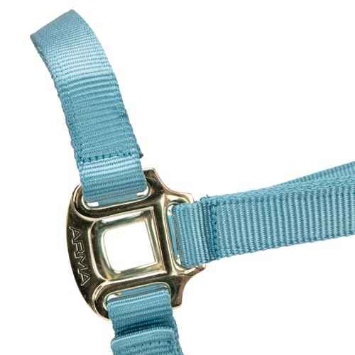Shires ARMA Adjustable Nylon Halter - color: Teal, size: Cob
