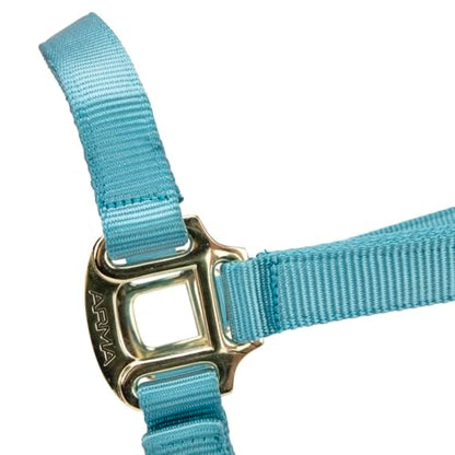 Shires ARMA Adjustable Nylon Halter - color: Teal, size: Cob