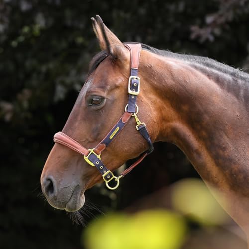 Shires Velociti Lusso Padded Halter - Leather Breakaway - color: Navy, size: Full