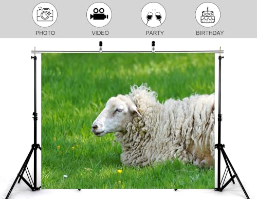 8x6ft Resting Wool Sheep Backdrop Thick Curly Fleece Fresh Green Grass Small Wild Yellow Flower Background Tapestry Party Pasture Farm Animal Home Decorations Photo Booth Props - size: 8x6ft