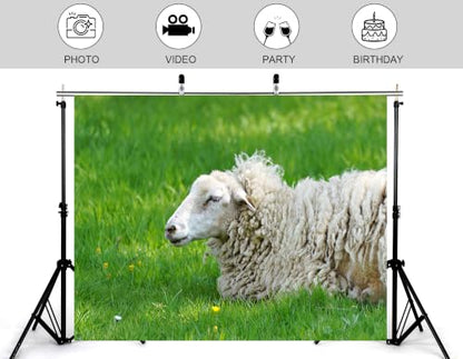 8x6ft Resting Wool Sheep Backdrop Thick Curly Fleece Fresh Green Grass Small Wild Yellow Flower Background Tapestry Party Pasture Farm Animal Home Decorations Photo Booth Props - size: 8x6ft