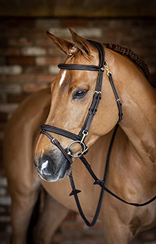 LeMieux Kudos Work Bridle - color: Brown, size: Cob