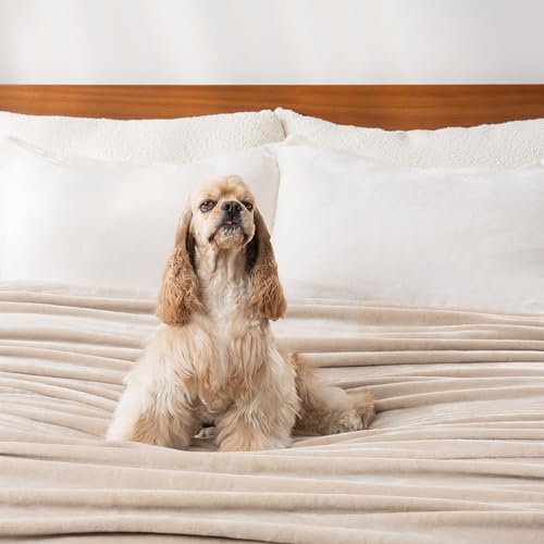 Berkshire Blanket Classic VelvetLoft® Solid Throw Blanket, Lightweight Soft Fuzzy Plush Throw Blanket for Bed and Couch, Grain, 50x60 Inches - color: Grain, size: Throw/Throw XL