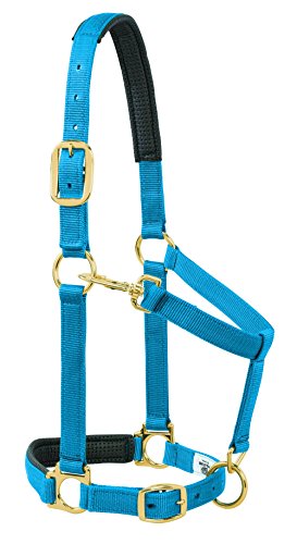 Weaver Leather Padded Adjustable Nylon Horse Halter