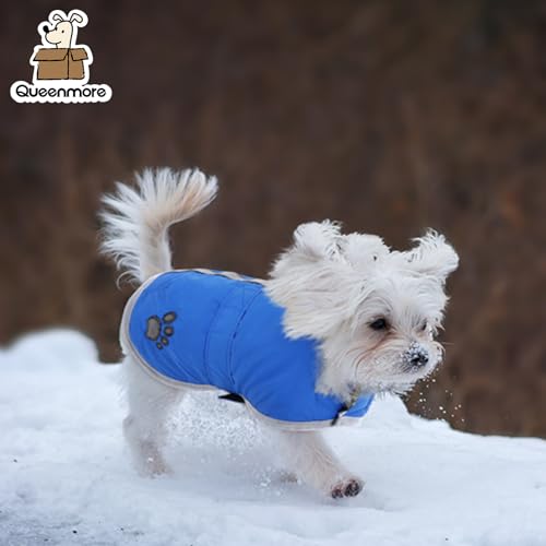 Queenmore Cold Weather Dog Coats Loft Reversible Winter Fleece Dog Vest Waterproof Pet Jacket Available in Extra Small, Small, Medium, Large Extra Large Sizes - color: Blue, size: Small
