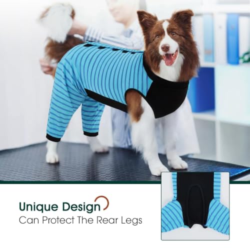 Kuoser Dog Recovery Suit with Anti Licking Rear Leg Sleeve, Blue M - color: Blue Strips, size: Medium (Back Length: 34cm / 13.38")