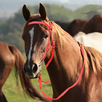 Horse Bridle Reins, Adjustable Horse Bridle Rein Harness Headstalls Removable Snaffle with Soft Cushion