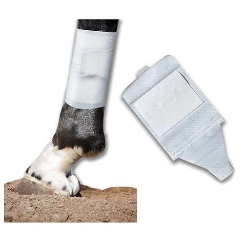 Equine BandaFlex Non-Adhesive, Disposable, Washable and Reusable Bandages (Medium) - size: Medium