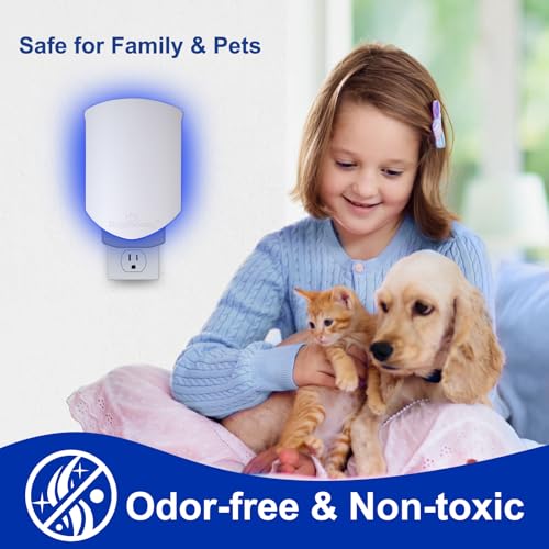 Flying Insect Trap for Fruit Flies,Gnats,1 Devices & 3 Refills | Plug-in UV Light for House flies, Silent Sticky Catcher for Indoor Use