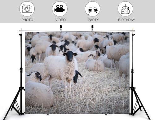 8x6ft Fabric Black Face Sheep Herd Backdrop Flock of Wool Sheep On Dry Grass Field Photography Background Tapestry Party Farm Animal Decorations Photo Booth Props - size: 8x6ft