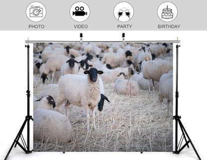 8x6ft Fabric Black Face Sheep Herd Backdrop Flock of Wool Sheep On Dry Grass Field Photography Background Tapestry Party Farm Animal Decorations Photo Booth Props - size: 8x6ft