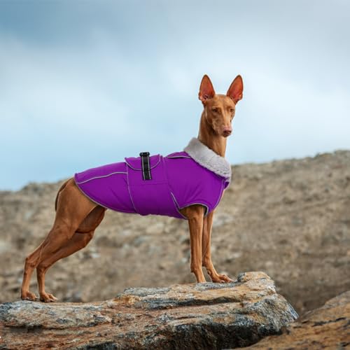 Lelepet Dog Winter Coats for Small Dogs Dog Jacket with Adjustable Buckle - color: Purple, size: S