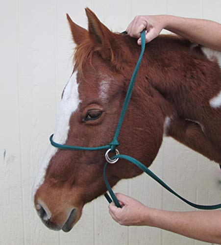 Extra Small - Sheep, Goat, Small Calf Adjustable Halter & Lead USA 250-700bs (Red)