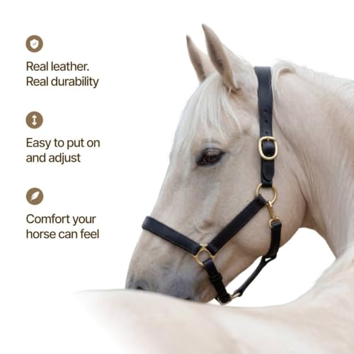 Genuine Leather Horse Halter – Padded Crown, Brass Hardware