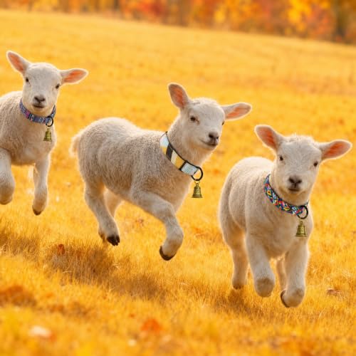3 Pack Adjustable Goat Collars with Bells, Colorful Patterns - color: B
