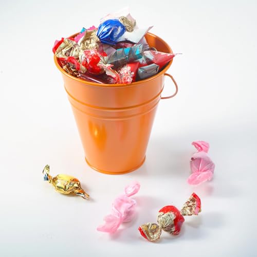 Sadnyy 6 Pack Pastel Small Metal Galvanized Bucket with Handle 5" | Pastel Small Mini Metal Galvanized Buckets, Colorful Wire Handle, Easter Party Candy Container, Table Centerpiece for Vase - color: Bright Color
