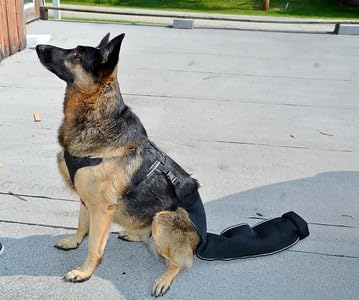 Large-Plus Happy Tail Protector for German Shepherd – Check Size Chart Image for FIT - size: L-PLUS