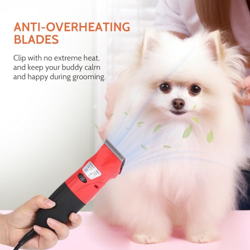DUCKBOY 35W Pet Clipper Grooming Kit, 4 Interchangeable Blades, 3m Cable