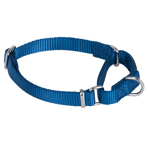Hyhug Martingale Collar for Dogs Small Blue |Escape - Proof Heavy Duty Nylon Durable No Buckle, Ideal for Training & Daily Walks | Heavy-duty nylon delivers gentle control for puppies. Ideal for training and park walks. Adjustable, comfortable, and secure