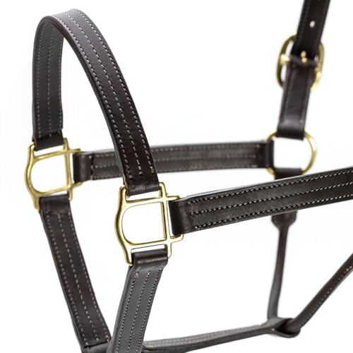 Jeffers Lexington Triple Stitched Leather Halter for Horses – Adjustable Double Buckle Crown, Breakaway Option, Equestrian Horse Tack for Riding, Show, Travel, & Turnout - size: Full