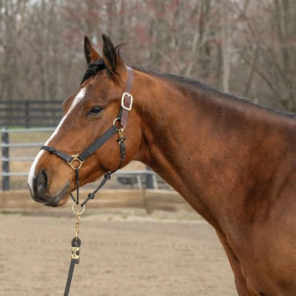 Nylon, Leather & Rope Combination Horse Halter by Weaver Equine - size: Average