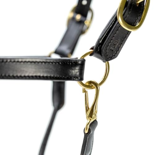 Jeffers Paris Padded Leather Horse Halter with Throat Snap, Adjustable Double Buckle Crown with Throat Snap, Triple Stitched Noseband for Cheek & Nose, Black - size: Full