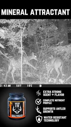 Antler IV Mineral Attractant, 5.5lb jug or 30lb Bucket, Highly Attractive Chestnut and Persimmon Flavor and Scent - size: 5.5lbs