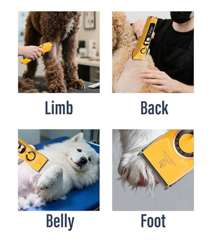 10FC Low Noise Pet Dog Grooming Clippers Replacement Blade, 440C Stainless Steel Fixed & Plated Ceramic Moving Detachable Blade, 1.9mm 1/13'' (1 Count) - color: Blade