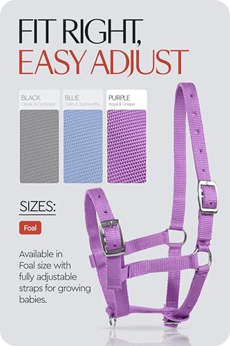 HORZE Adjustable Mini Horse Halter, Nylon Design for Foals, Colts, Fillies - color: Purple