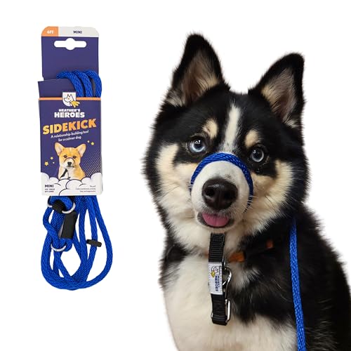 Heather's Heroes The Sidekick No-Pull Leash Blue - color: Blue, size: Mini (1/4")