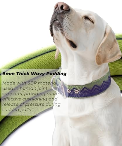 Dog Collar for Large Dogs,2 in Wide Heavy Duty,Pressure-Relief Padded, C-S - color: Night Jungle, size: S