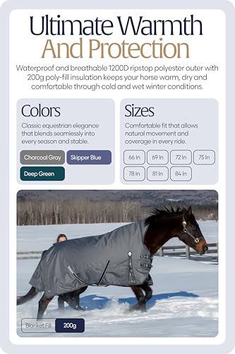 Equinavia Arktis Extended Neck Mid Weight Turnout Blanket 200g - Charcoal Gray - 84 in - color: Charcoal Gray, size: US 84 in