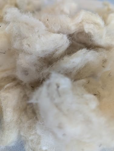 8oz Natural raw Washed Wool noil Stuffing Needle Felting core Sheep Wool w/Debris, Premium Short Fiber Fill for Arts and Crafts, Cream White, Bulk