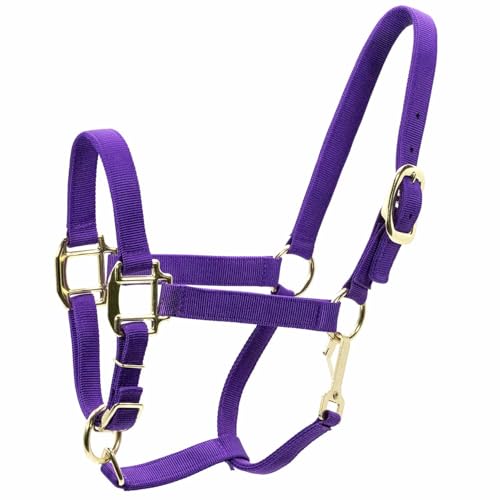 Jeffers Adjustable Nylon Horse Halter w/Throat Snap, 3 Ply Webbing, Chin Strap, Heavy Duty Throat Snap, Sturdy Hardware, Equine Halter for Training, Leading - color: Purple, size: Arabian Horse (500-800 lb)