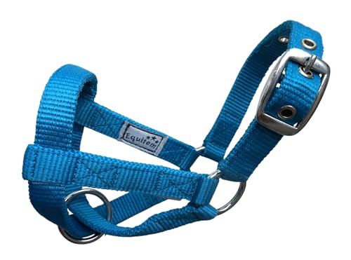 Livestock Goat Halter. Small, Medium, Large – Safe & Adjustable for Milking, Training, and Travel. (Peacock, Medium (30"–33")) - color: Peacock, size: Medium (30"–33")