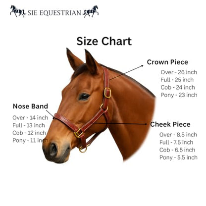 SIE English Horse Leather Braided Brown Halter - size: Full